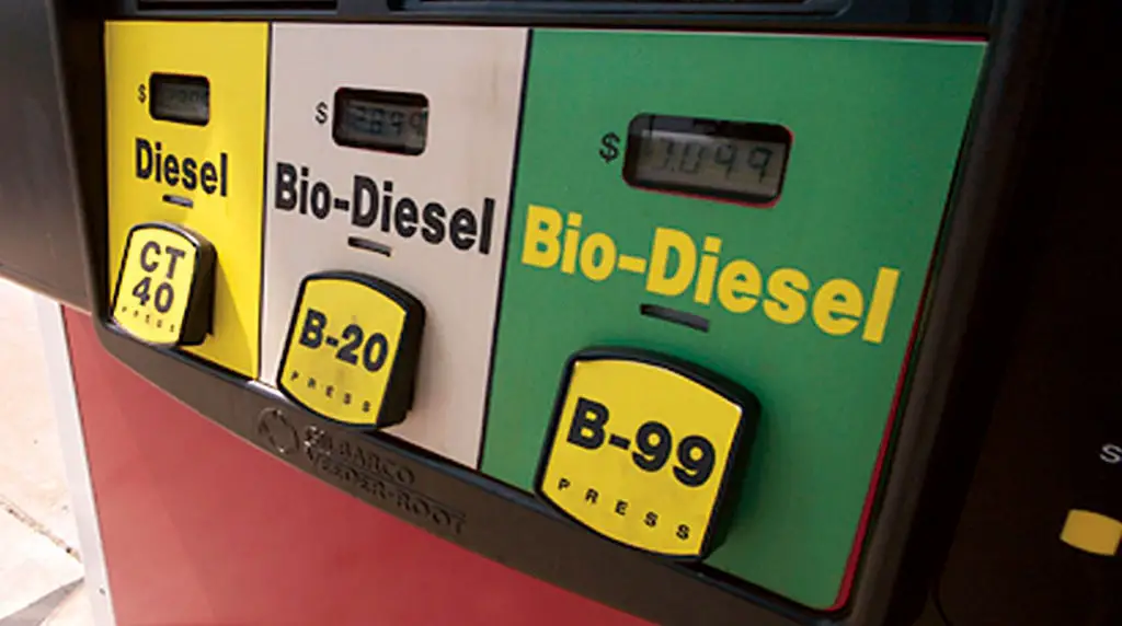 alternatives to electric cars: Biodiesel is a great one too!